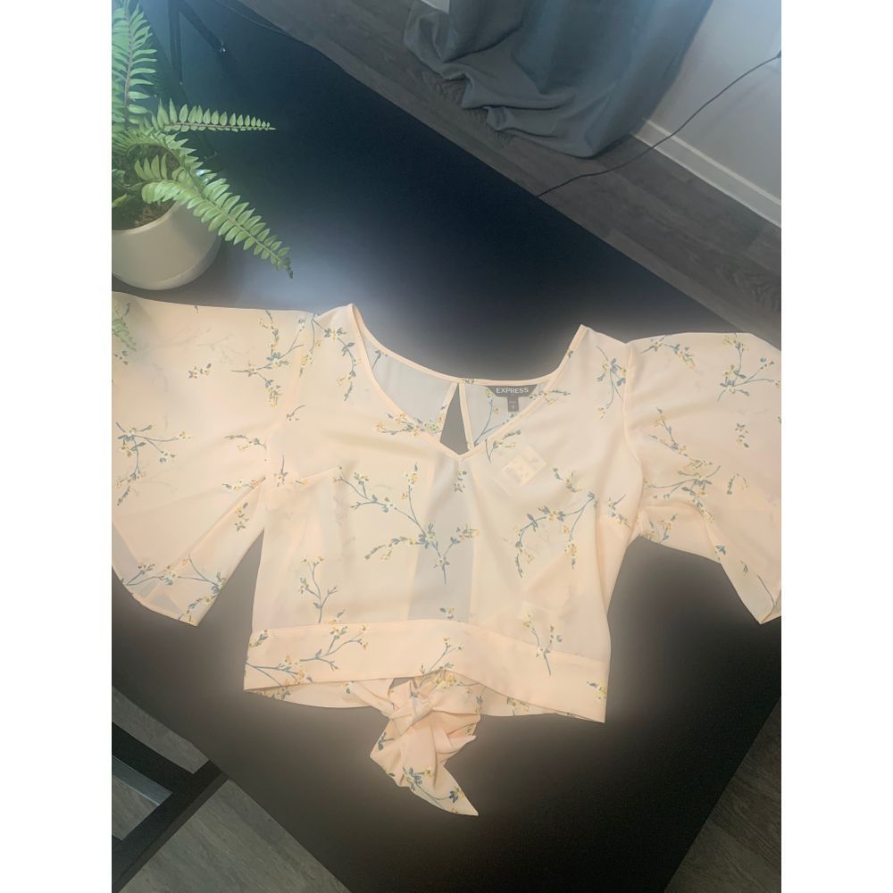 Express NWT Sheer Top